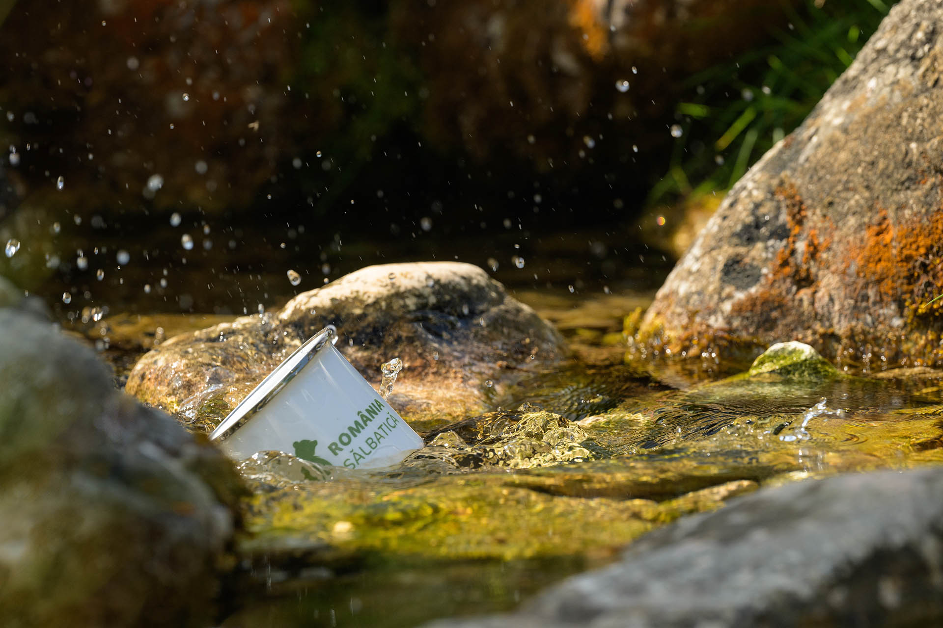 Cană metalică - Râs