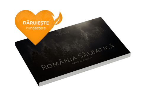 Romania Salbatica Hope and Homes for Children