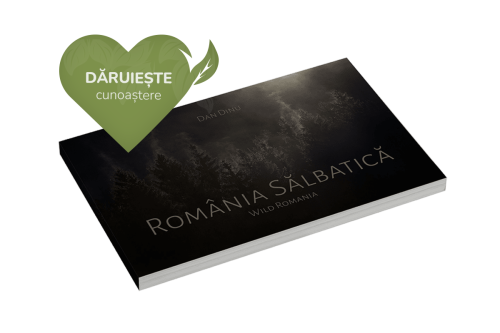 Romania Salbatica Hope and Homes for Children